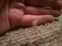 Next, insert your threaded needle inside the loop of the snag and pull through until the end of the thread is close to the loop. Fix A Snag In A Rug 5 Steps With Pictures Instructables