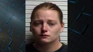 Leland couple in custody