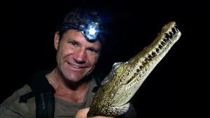 Image result for steve Backshall of the BBC TV animal images