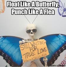 Check Out This Meme I Made With Makeameme Float Like A Butterfly How To Make Memes