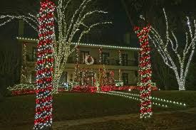 One reason is that my parents host a framily* get together and it is always a wonderful time. Plants For Dallas Your Source For The Best Landscape Plant Information For The Dallas Ft Worth Metroplexpark Cities Christmas Light Driving Tour