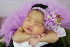 Extraordinary Rose Photography