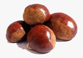Chestnut Png Image Background Chestnut Meaning In Hindi Free Transparent Clipart Clipartkey