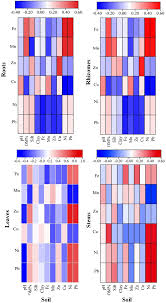 Image result for Vossia cuspidata