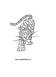 Ausmalbild Jaguar Zum Ausdrucken