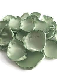 Check spelling or type a new query. Light Sage Green Flower Petals Fern Green Rose Petals Table Etsy Flower Girl Petals Sage Green Flowers Flower Petals