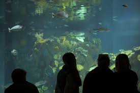 The Toledo Zoo Aquarium Toledo Toledozoo Aquarium Toledo Ohio Toledo Zoo