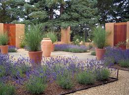 Shrubs are also an option. Xeriscape Gardens How To Get A Beautiful Landscape With Less Water