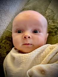 Natasha Stott Despoja AO