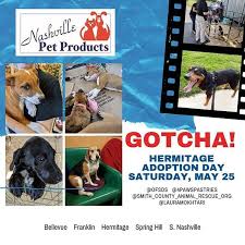 Top keywords % of search traffic. Thanks To All Who Dropped By Saturday S Hermitage Adoption Fair It Was Gotcha Day For Some Lucky Pups Gotcha Nashvillepet Gotcha Day Pets Nashville