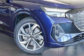 Image result for Navarra Blue 2024 E-Tron