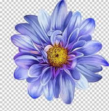 Flower Drawing Blue Rose Png Clipart Annual Plant Art Aster Blue Flower Blue Rose Free Png Learn how to draw thousands of flowers using the same simple technique. flower drawing blue rose png clipart