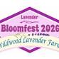 Lavender Bloom Festival