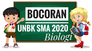 Promo paket buku un detik detik smp 2020 intan pariwara. Download Soal Un Unbk Biologi Sma Tahun 2020 2019 2020