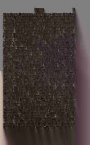 Image result for Bidens acuticaulis