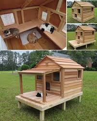 Auch Fur Nickels Und Schweinchen Eine Gute Idee Hund Diy Katzen Wilde Katzen