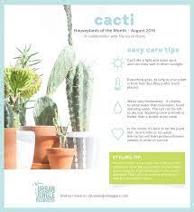 Houseplants Of The Month August Cacti Plant Care Houseplant House Plant Care Houseplants