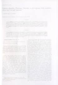 Image result for Panicum arcurameum