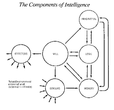Introduction Cognitive Science Brain Models Neuroscience