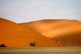 Destination namibia, a nations online country profile of the african nation in the southwestern part of the continent. Namibia Eases Coronavirus Restrictions To Attract Tourists News The Jakarta Post