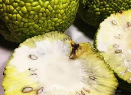 There are 23 total devil fruits in the game. Hedge Apples For Spiders Do They Work As A Repellent