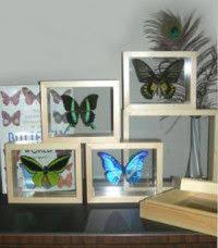 Get it as soon as wed, jun 16. Double Sided Glass Shadow Box Frame Glass Shadow Box Box Frames Glass Display Case