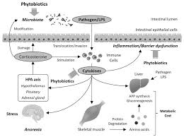 We did not find results for: Animal Bioscience