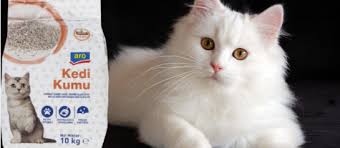 Aro Kedi Kumu Yorum Metro Market Kedi Kumu Suzionline