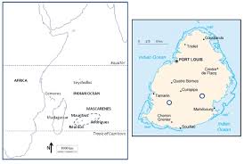 Image result for Crepidomanes inopinatum