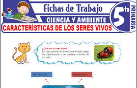 La variedad de seres vivos es tal, que de alguna manera los biólogos tienen que definir cuáles son las características de los. Caracteristicas De Los Seres Vivos Para Quinto De Primaria Fichas