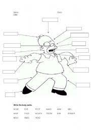 Pin On Las Partes Del Cuerpo