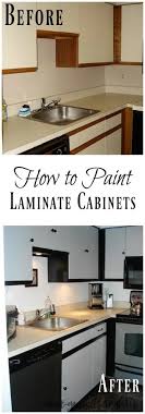 The guidelines for painting real wood and the ones for painting laminate are 'very very' similar. Painting Laminate Cabinets Diy Danielle