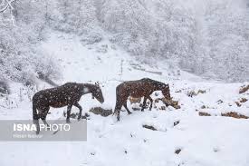 سرعت وزش باد در گیلان به ۱۰۸ کیلومتر بر ساعت رسید/ احتمال بارش مخلوط برف و باران