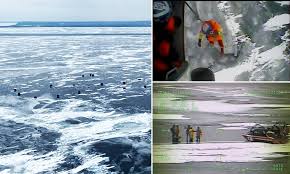Get in touch to book your trip! Coast Guard Rescues 66 Ice Anglers In Wisconsin S Sturgeon Bay Daily Mail Online