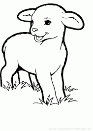 Agneau Coloring Pages Animal Coloring Pages Vegan