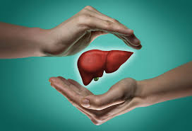 Which food protects your liver? - Shambhala Wellness Center