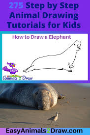 Learn How To Draw An Amazing Elephant Seal With This Easy And Inspirational Step By Step Drawing Tutorial For Kids Elephant Drawing Elephant Seal Easy Animals