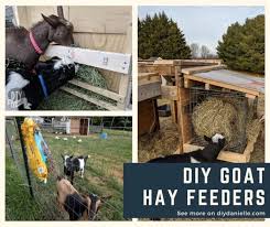 Results from our usage look very good. Diy Goat Hay Feeders Diy Danielle