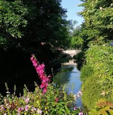 Check spelling or type a new query. Spotted Is Sur Tille Et Alentours Officiel Home Facebook