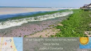 Vremea pentru mangalia pentru luna august 2019. Litoralul Este Plin De Alge DupÄƒ Furtuna Din Ultimele Zile De La Marea NeagrÄƒ Libertatea