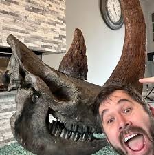 newly discovered prehistoric cave drawing suggests minions unhelpful in  bear attacks