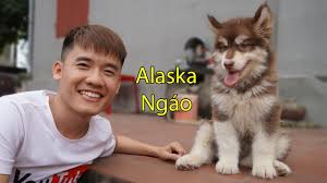 Socialblade is a premiere youtube community where you can chat with other youtubers. æœç´¢hÆ°ng Vlogç›¸å…³çš„youtubeçº¢äºº Youtubeç½'çº¢æœç´¢å·¥å…· Noxinfluencer