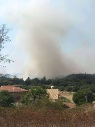Η σχολή ανθρωπιστικών επιστημών περιλαμβάνει τα εξής τμήματα: Perioristhke H Fwtia Sthn Kerkyra Epistrefoyn Sta Spitia Toys Oi Katoikoi Twn Dyo Xwriwn Patrastimes Gr
