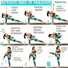 Bird Of Paradise Yoga Pose Modifications Believe In Yourself Change Forever Yoga And Stretching In 2020 Advanced Yoga Twist Yoga Restorative Yoga