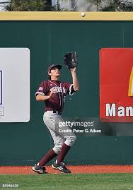 125 Petrich Stock Photos, High-Res Pictures, and Images