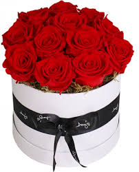 Wholesale flowers sells fresh flowers and foliages direct to the public. Preserved Roses Amys Flowers Hamilton
