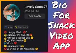 Local support24/7 dedicated supportsubmit a request. Best Snack Video App Bio For Boys Girls Cool Attitude Bio For Snack Video Sohohindi In