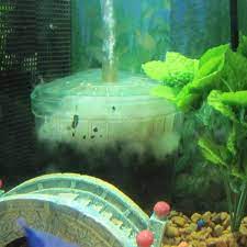A fish tank water filter cleans the water of debris, removes the toxic buildup of ammonia and nitrates, and aerates the water so your pretty fishy can breathe. What Happened To The Box Corner Filter For Fish Tanks Pethelpful By Fellow Animal Lovers And Experts