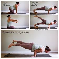 Pin By Jeannina Moya On Yoga Hard Yoga Peacock Pose Workout