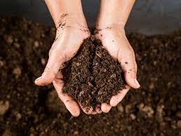 There are words in hindi language which carry multiple meanings. What Is Peat Moss Tips For Using Peat Moss In Gardens